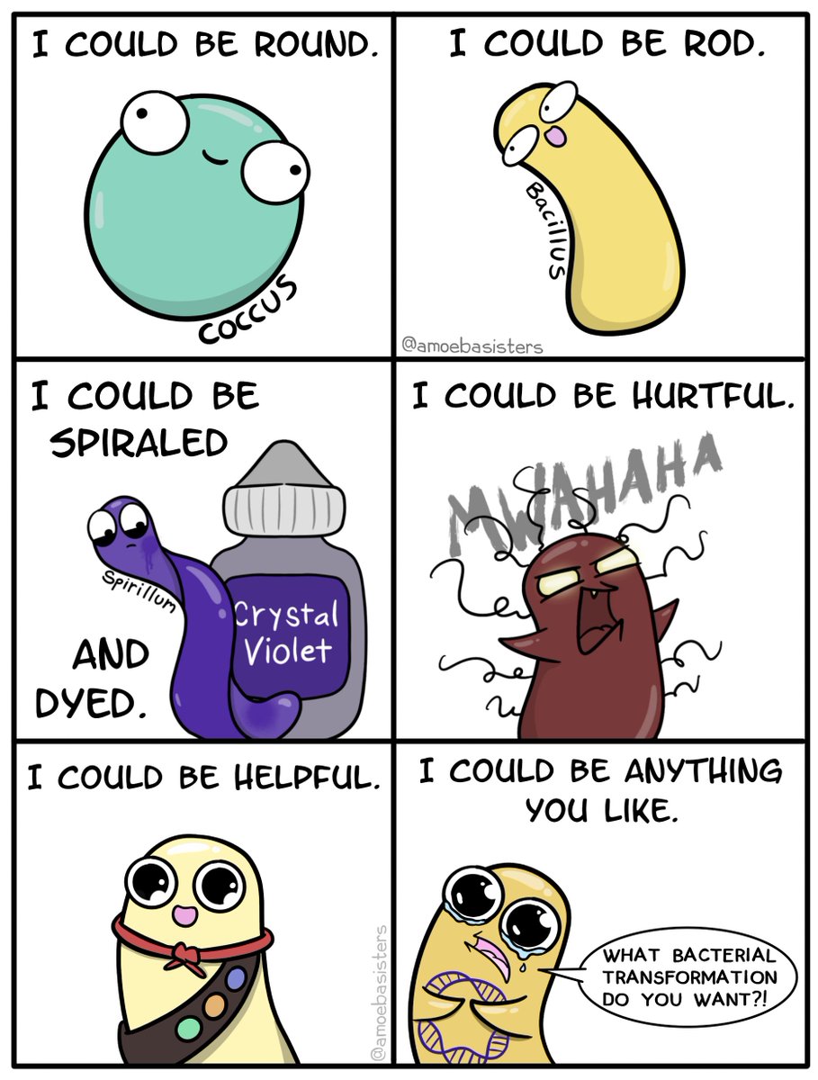 Bacteria can be so many things...
▶️🎵 youtu.be/WfzehZx3yWI

#scicomm #sciencetwitter #biology #sciart