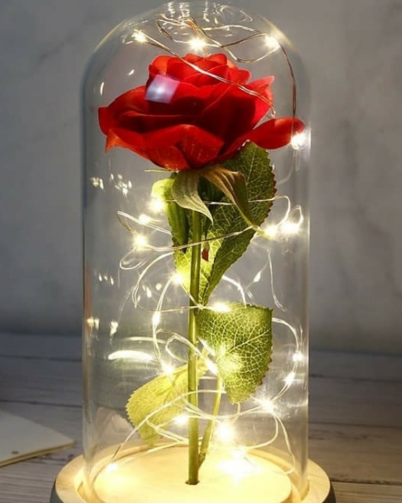 Free the rose inside you. 🌷
Bloom and spread the scent. 
Until we have a planet of roses.