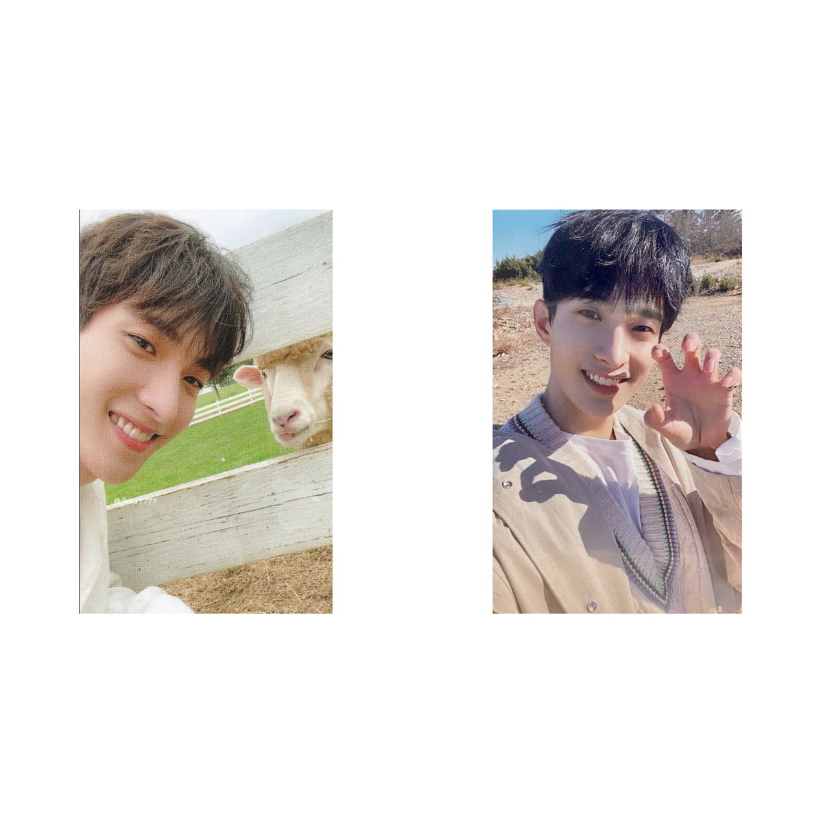 shwbuys's tweet photo. wts lfb ph

🛒 dk qs
      ↳ ₱ 3,120 (3,100 payo)

↳ SOLD AS SET ONLY !
↳ can look for kahati
↳ payo (prio), 3 days reservation 
↳ rpbyt 

reply mine or dm to claim! 

🏷 dk tupa set the sun scc cat ears horanghae https://t.co/Bpc6EHtMjz