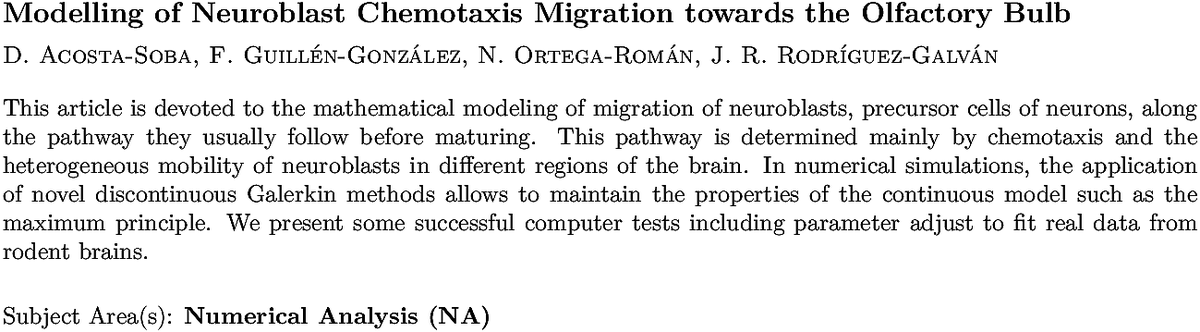 arxiv.org/abs/2211.06166…
D Acosta-Soba et. al.
Modelling of Neuroblast Chemotaxis Migration towards the Olfactory Bulb