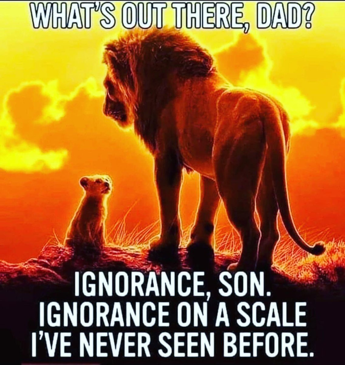 Pat (@pat83667307) on Twitter photo 