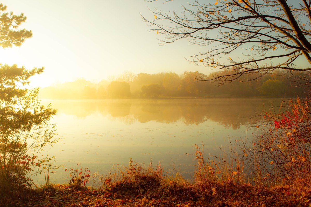 ParmerIsaiah's tweet photo. Some photos I took recently, enjoi https://t.co/Rvn0MWvc3L