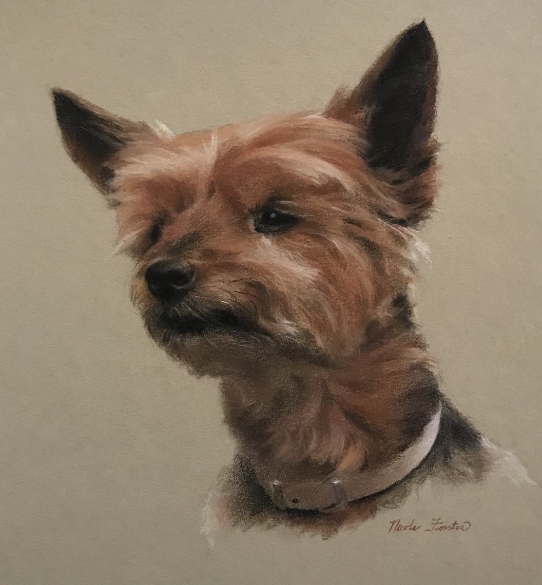 forster_art's tweet photo. Pastel drawing of Maisy https://t.co/0FJ2rxuvgI