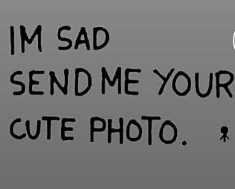 ★ tweet media