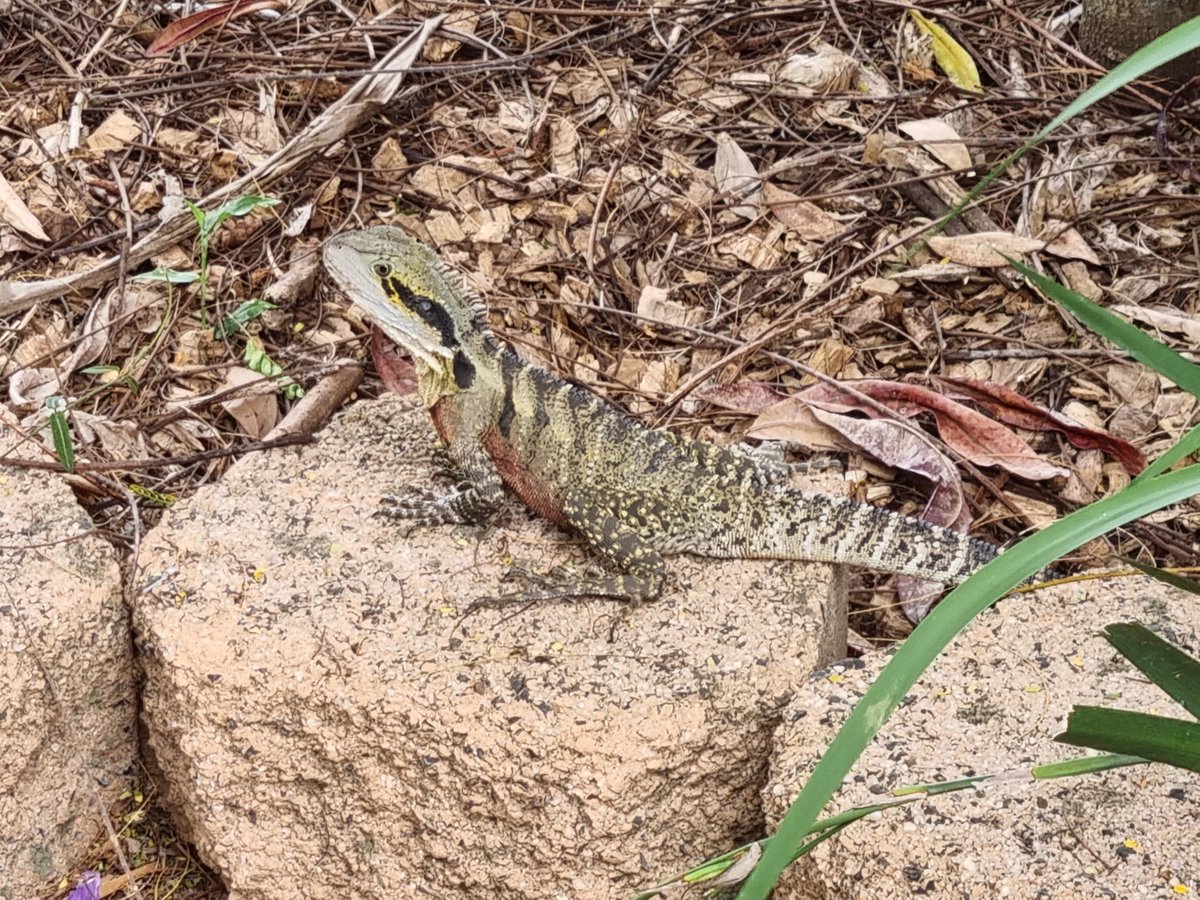 integrationer's tweet image. #MasteringSAP is all about making connections - with customers, partners, colleagues - and even with nature :-)