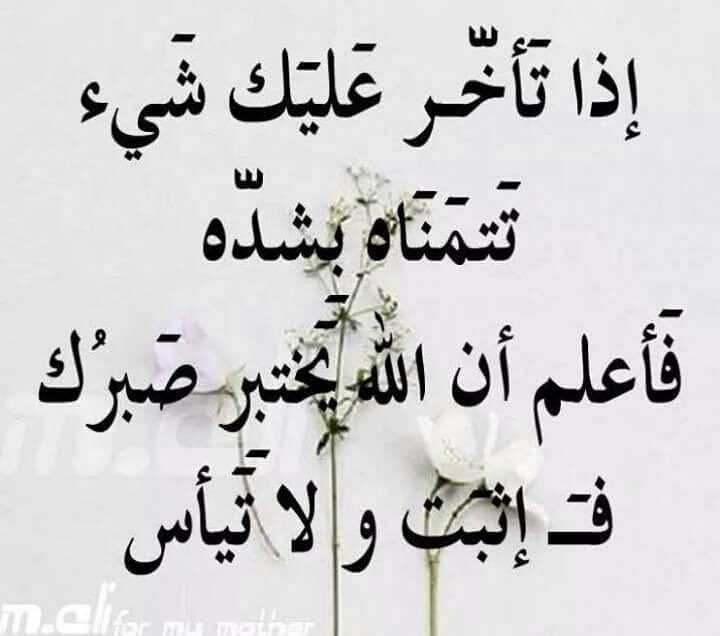 إثبت💪
ولا تيأس✋

 #موعد_مع_الحريه