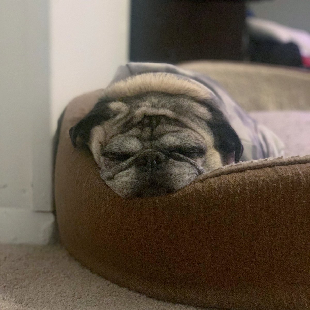 Sunday funday I napped in 7 places today