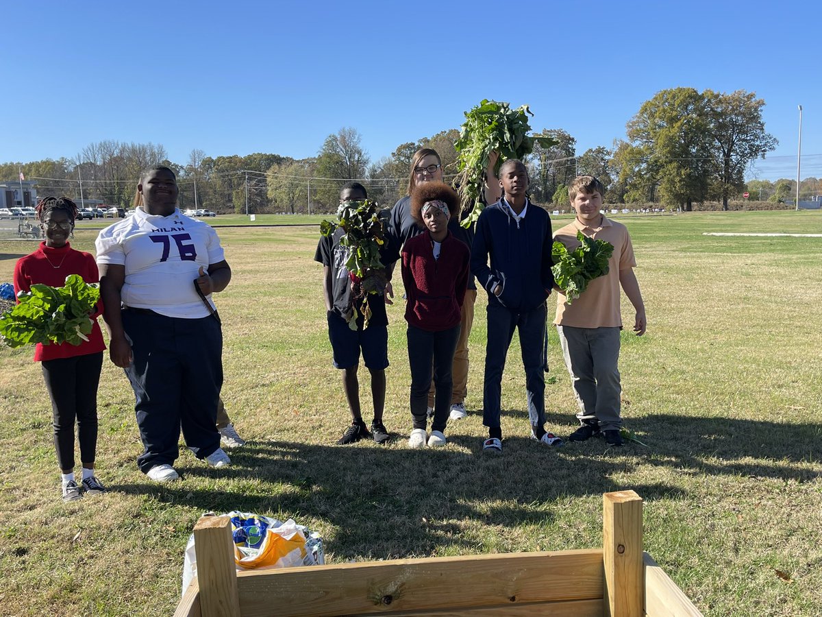 janonteach's tweet photo. My environmental science class is winding our garden down! We have successfully harvested greens, beets, and lettuce! Tomorrow we are having a salad out of our lettuce! I’m so excited for these students! #farmtotable #environmentalscience #theyareawesome #raisedgarden https://t.co/Yn5HMbqPO5