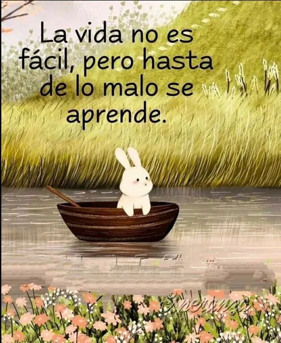 La vida no es fácil, pero hasta de lo malo se aprende!