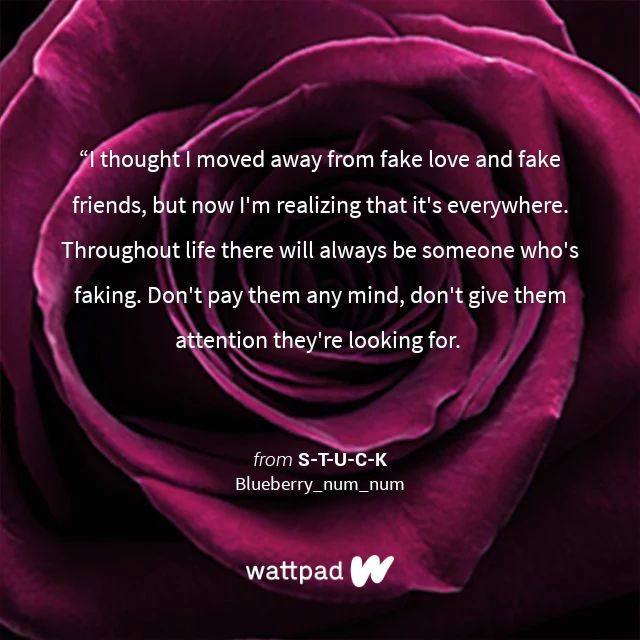 "I thought I moved away from fake love and fake friends, but now I'm reali…" #Quote #Wattpad wattpad.com/story/32084275…