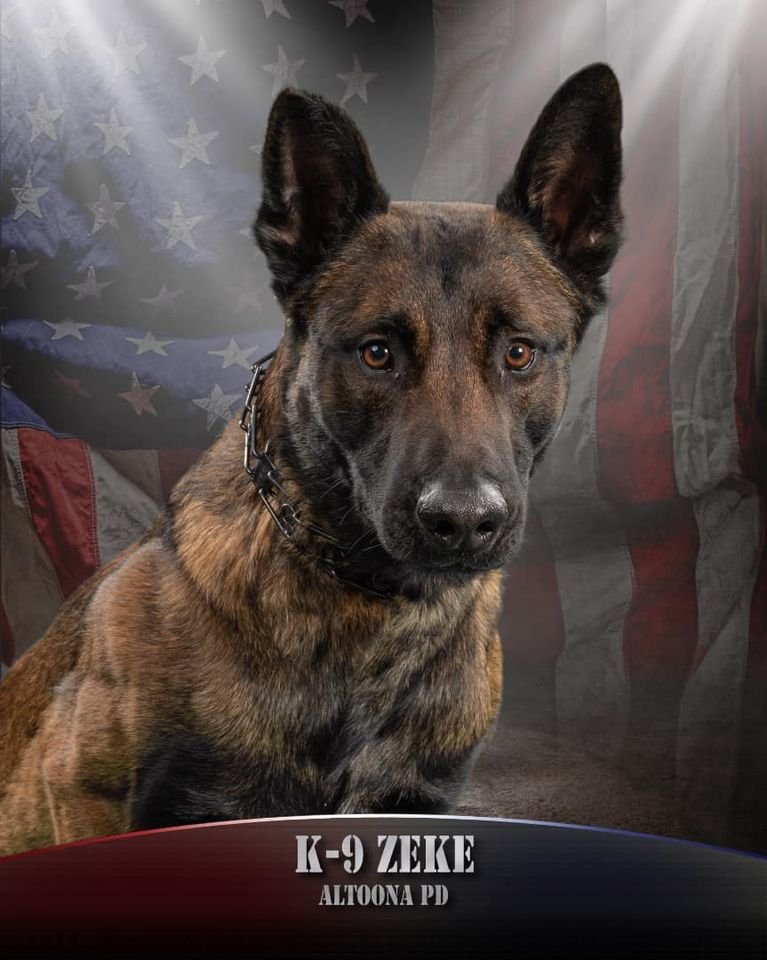 Altoona PD K9 Zeke is lost
😟Where are you boy. Be careful out there.
Indianola Police Department at 515-961-9400.
facebook.com/altoonaiowapol…
#ThinBlueLine #dog #K9 #police #OPLive #OnPatrolLive #OfficialOPLive