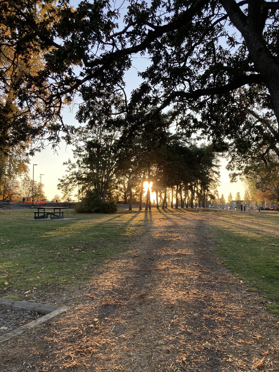AlexineCleans's tweet photo. Golden sunsets and fat steaks from Berryman Bros farm make this autumn afternoon even better. https://t.co/jsr0qJfqng