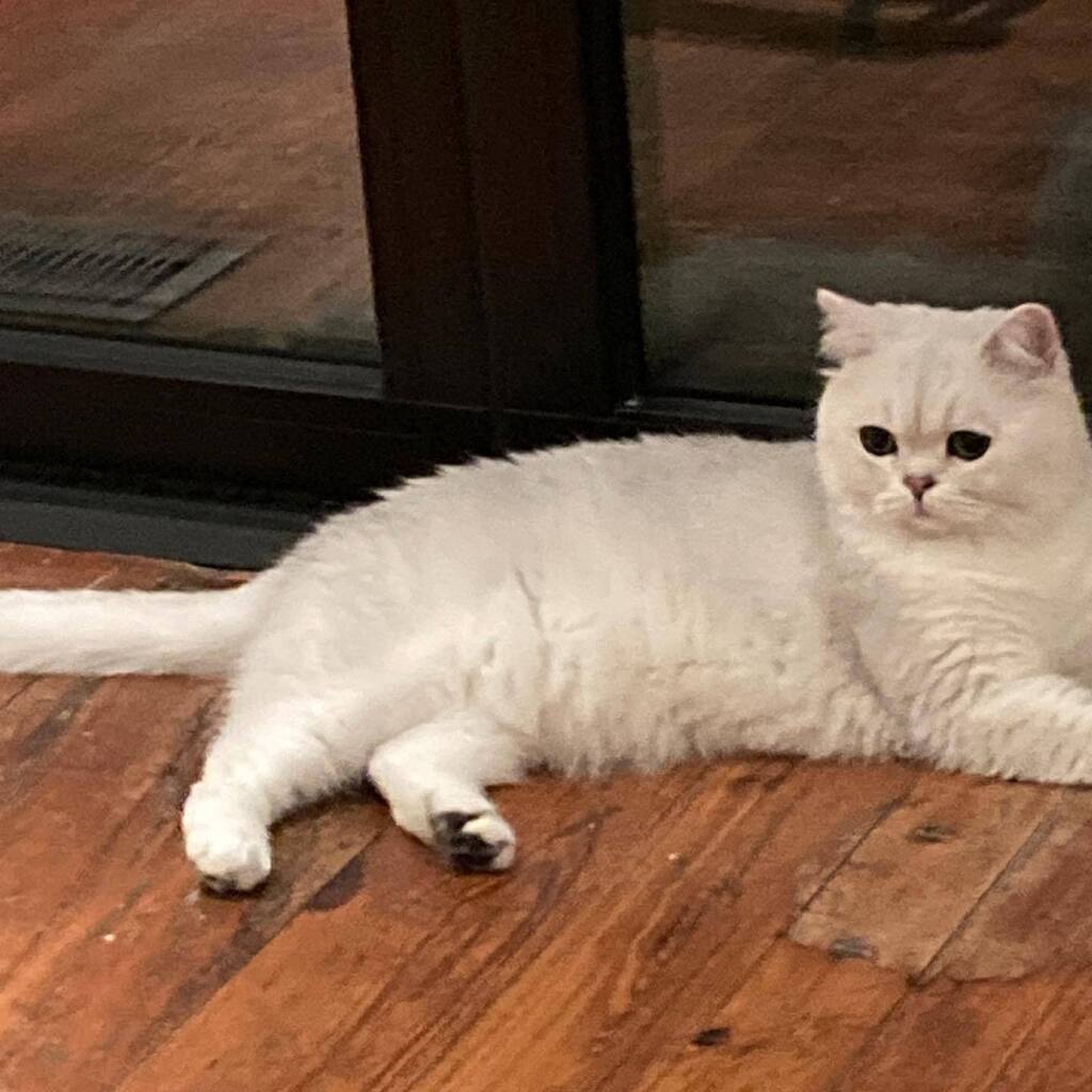 Welcome to the newest member of our family! instagr.am/p/Ck7LUKou0Db/