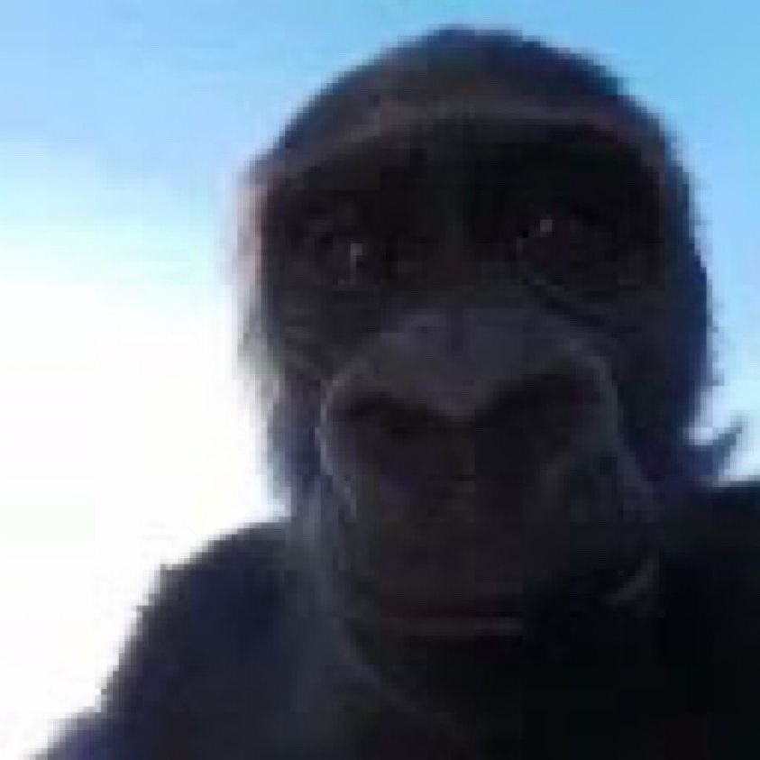 spaghettifella's tweet photo. there is so much going on and i’m just here like https://t.co/WyoijwpJu2