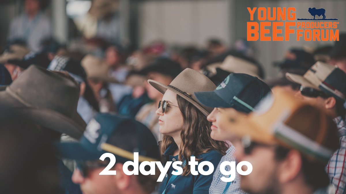 Two days to go until YBPF 2022! This time last year, there was COVID, lockdowns and QLD border closures. Thankfully, 2023 returned things to normal, and you guys turned out in numbers to buy tickets and support what will be the 18th year of YBPF. Thank you, and see you Wednesday!