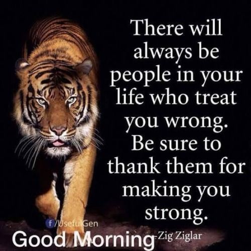 0cl1ck's tweet photo. @illness_dd3 @bhar13f @alamanda_maroon @soesilo_bams @C4kDeep_ @SR_VIDHI Morning bg... https://t.co/fhKW3xhg95