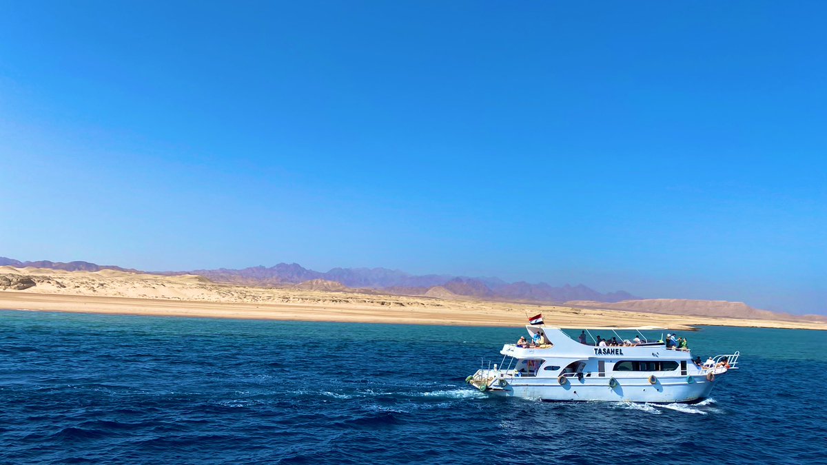 Since nothing is scheduled on the 13th, we’ve decided to join RINGO social event. We’ve met with a group of beautiful &amp; enthusiastic multicultural people from all over the world.

During networking, here’s what I found: