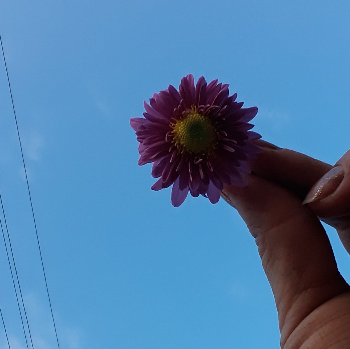 #YeniProfilResmi