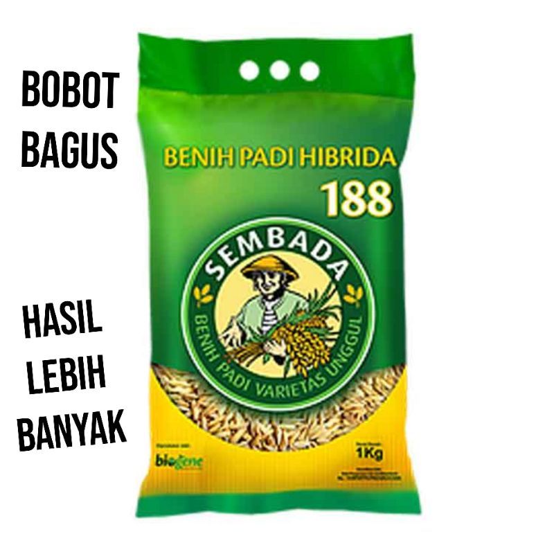 AlieMustofa99's tweet photo. Saya menjual BENIH PADI HIBRIDA S... seharga Rp185.000. Dapatkan di Shopee sekarang! https://t.co/iW0JwT16jF #ShopeeID https://t.co/CIbFFKXhqX
