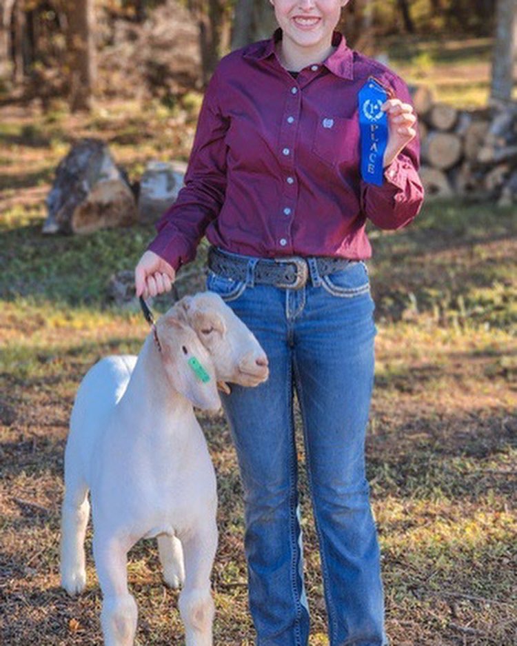 We had a great weekend with the livestock show team at the Liberty Hill Livestock Show. The weather may have been chilly, but making memories and earning ribbons sure warmed us up! Congratulations to each of our members that participated this weekend!
