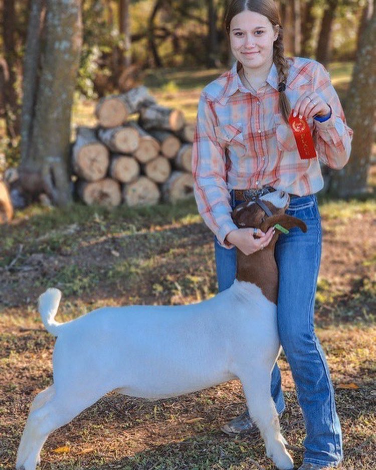 LHSFFA's tweet photo. We had a great weekend with the livestock show team at the Liberty Hill Livestock Show. The weather may have been chilly, but making memories and earning ribbons sure warmed us up! Congratulations to each of our members that participated this weekend! https://t.co/cpnwx4Njpf