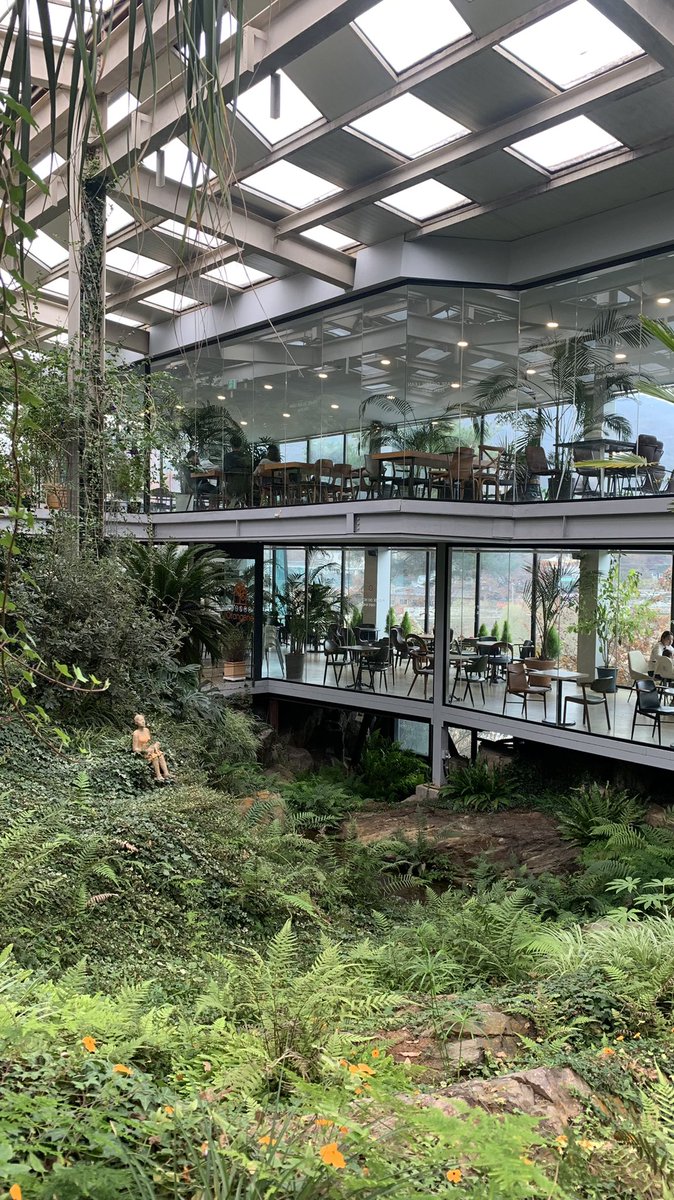 5_haaaa's tweet photo. 카페인지 식물원인지 ••🍃🌱🌿 https://t.co/qWafaUjpau