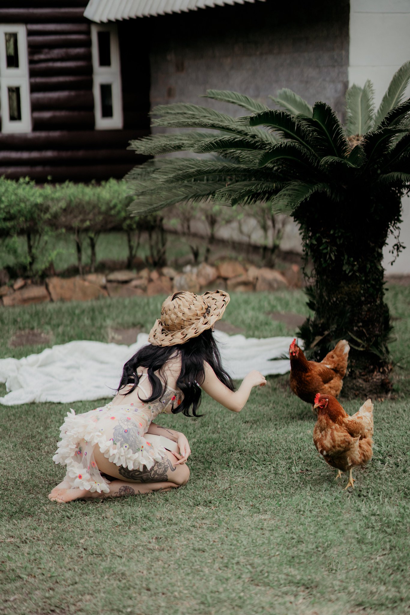 1 pic. cock-a-doodle-doo oooo🐓 https://t.co/RUJ7KoBSk5