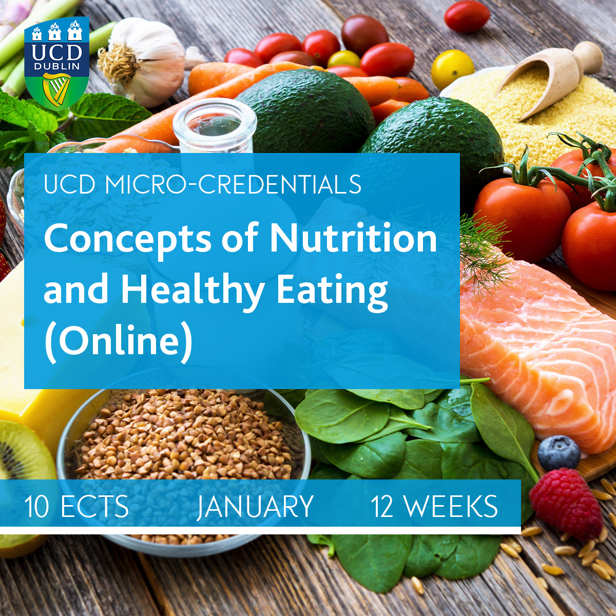 Explore the role of nutrition in health promotion, disease prevention, and sustainable diets with our #microcredential in Concepts of Nutrition and Healthy Eating; lnkd.in/eTnYN_jS
 
#health #sustainablediets #irishfood