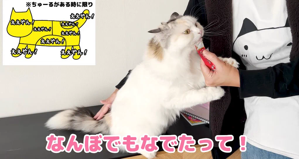 YouTube Japan on X: 