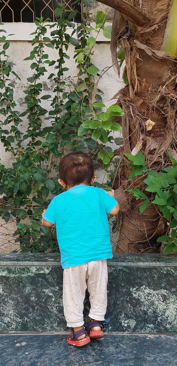 જેમની અંદર કુતૂહલ જીવે છે એવા સૌને બાળદિનની શુભેચ્છા. 🙂