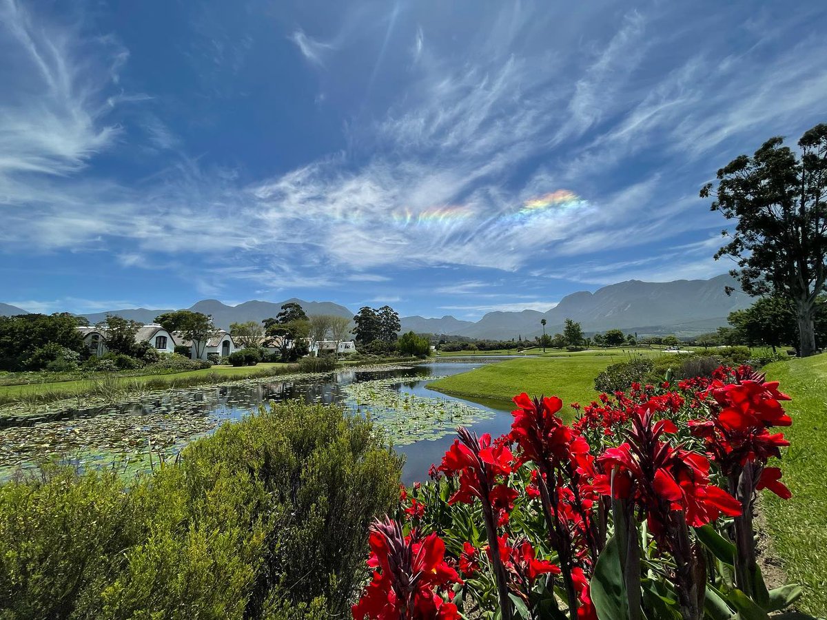 FANCOURTSA's tweet photo. A dazzling view indeed!
When you golf at Fancourt, take feelings of pure bliss and splendour with you.
#fancourt #fancourtsa #fancourtlifestyle #golf #golfing #golfviews #flowers #splendidviews #rainbow #southafrica #gardenroute #westerncape https://t.co/19vbGlqrRg