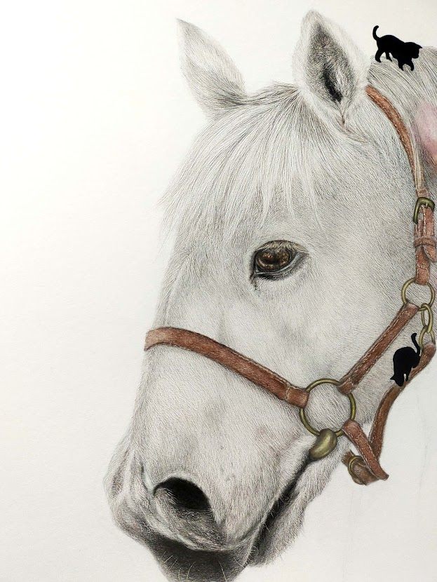 「今日も一日お疲れさまでした残念ながら本日は描いていた馬が思うようにいかず諦めるこ」|アメ。のイラスト