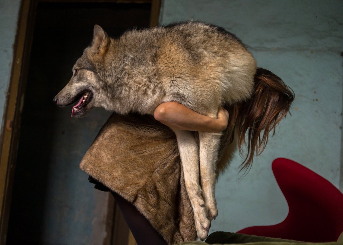 I 25 artisti italiani in mostra al PhotoVogue Festival 2022 vogue.it/news/gallery/i… via <a href="/Vogue_Italia/">Vogue Italia</a> #contemporaryphotography #lucreziatestaiannilli #emanuelecoccia #photovogue #metamitho