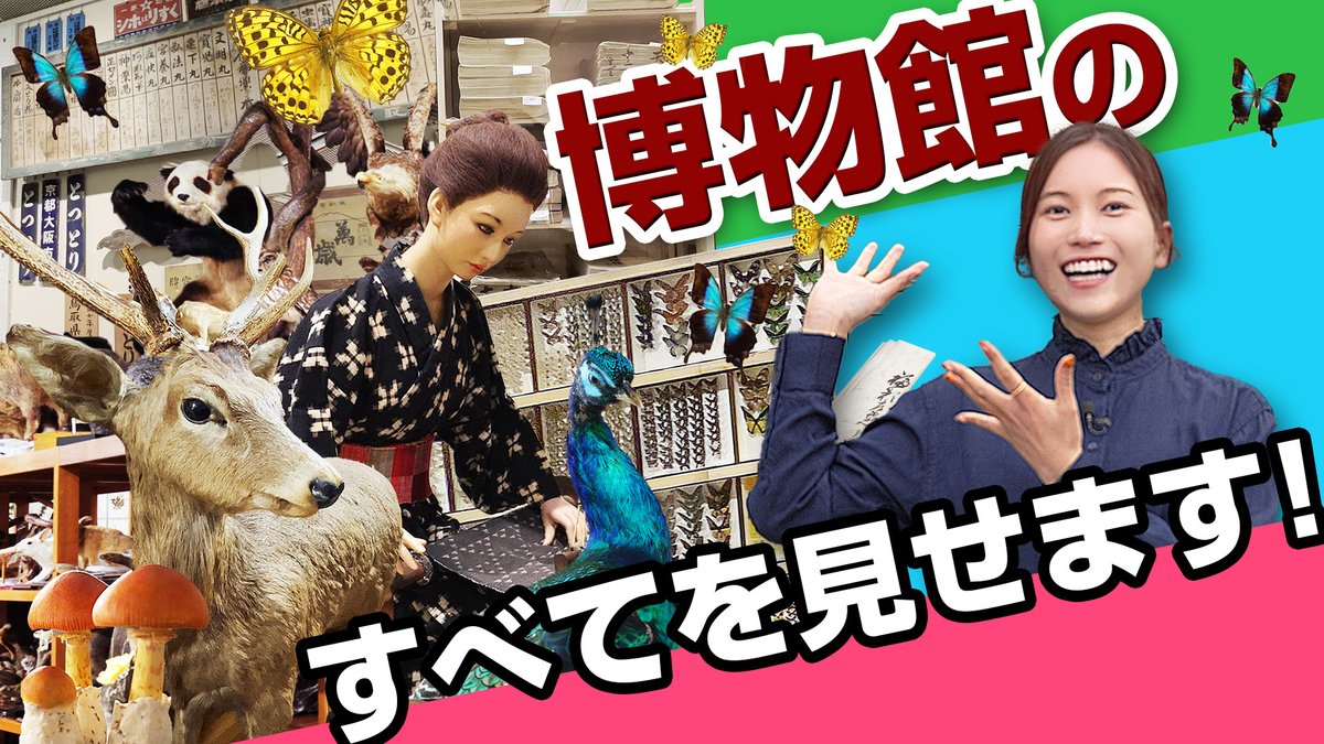 TSK_YouTube_'s tweet photo. 今回は博物館の収蔵庫の中へ潜入！！！

そこには半世紀にわたり博物館で集められた様々な資料が！！
なかなかお目にかかる事の出来ない、資料の数々…
その数なんと約20万点！

是非ご覧ください！

↓↓↓↓動画はこちらから↓↓↓↓
https://t.co/Kfv64LXw5C

#鳥取県立博物館 https://t.co/qJv1jF9PlO
