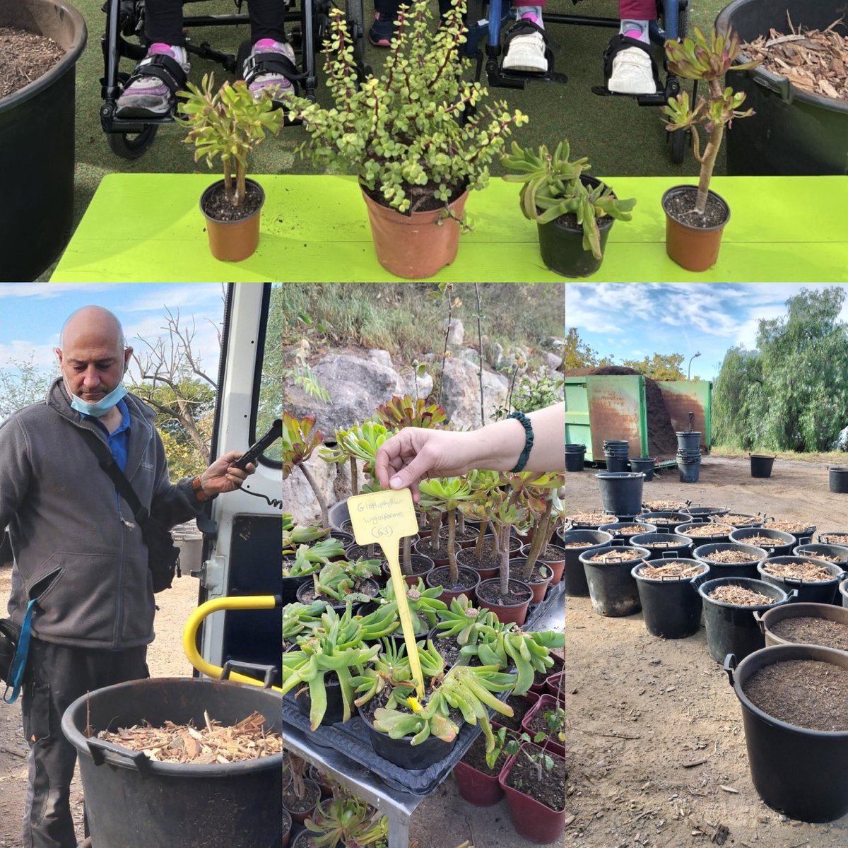 aspacecatalunya's tweet photo. L’Escola d’Aspace forma part del projecte “Escoles+Sostenibles” de l’Ajuntament de Barcelona i cada mes rebem compost i humus pel nostre hort. 

#somaspace #aspace #escolaaspace #escolessostenibles #ajuntamentbarcelona #vivertrespins #horticultura #escolesverdes https://t.co/CefShPJolo