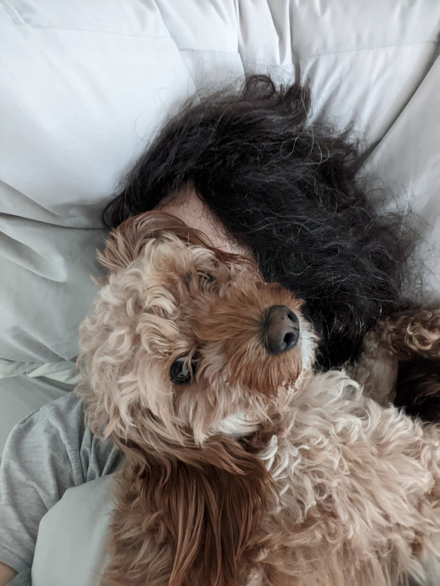 Struggling to leave bed on my day off, as if there is a weight on me... A floofy and sweet weight