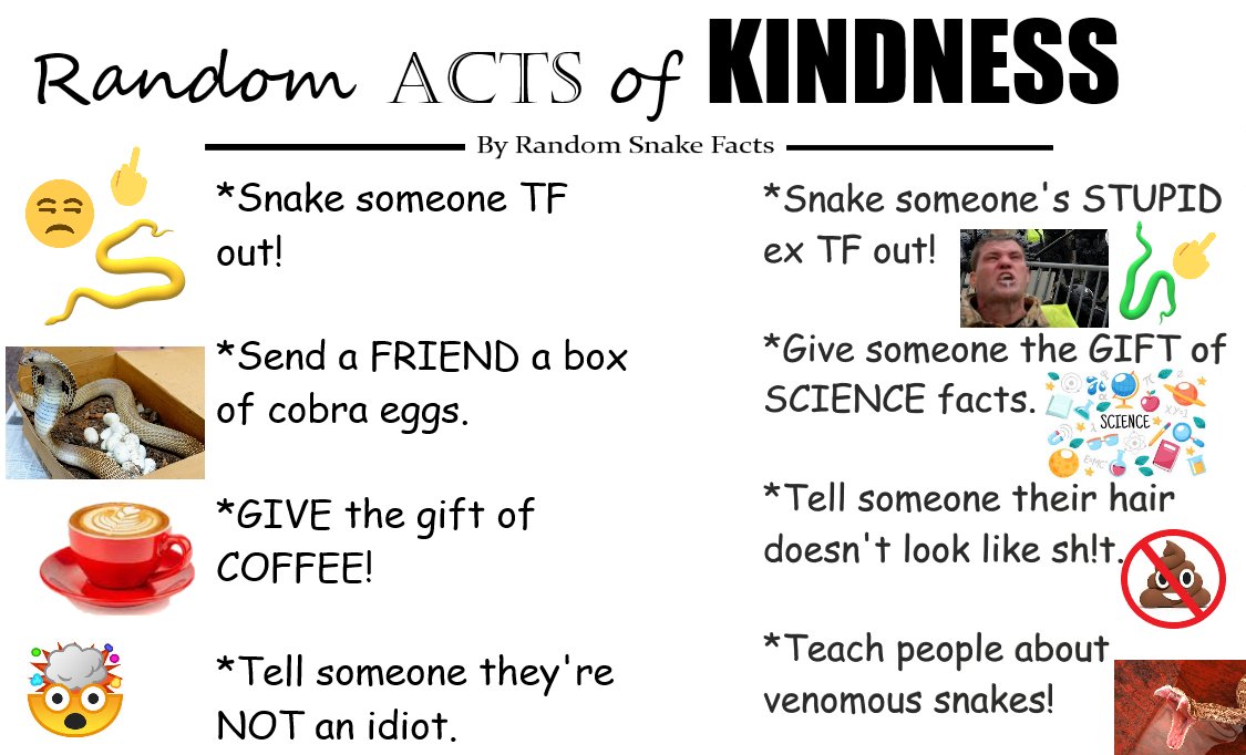 Since it's #WorldKindnessDay I thought I'd take the time to post something really thoughtful, sentimental and heart-warming for the occasion.

Am I doing this right? 🤔🐍🤪😂