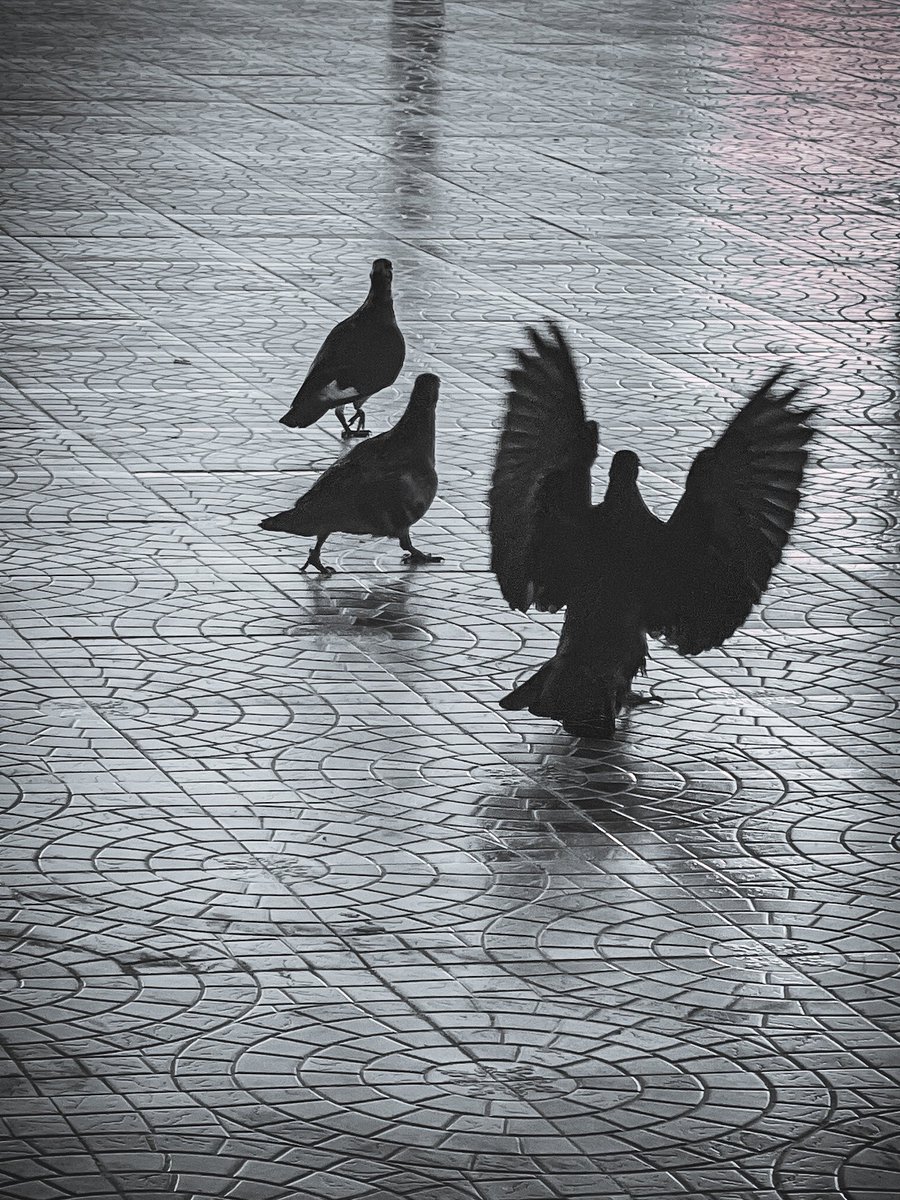 اللهم اجعل قلوبنا كأفئدة الطير ، لا تعرف الحقد ولا الكره ولا اللؤم ، طيبة ، لينة ، رحيمة ، تتمنى الخير للجميع ، تخاف الله بكل شي…
<a href="/Photos500/">صوره من #تصويري</a>