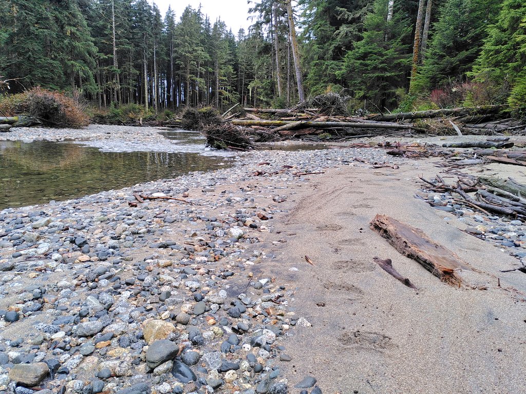nora_mare's tweet photo. Yesterday was the last day of this seasons #SalmonRun Enumeration surveys by #MESSS. We went to beautiful #HadaRiver and saw some #Pink & #Coho #Salmon! ๐ Lovely river, beautiful falls & estuary, eagles, bear tracks, and nice company. Thanks for taking me along! ๐๐๏ธ๐ฆ
๐ป๐พ https://t.co/m8NsdSz5nS