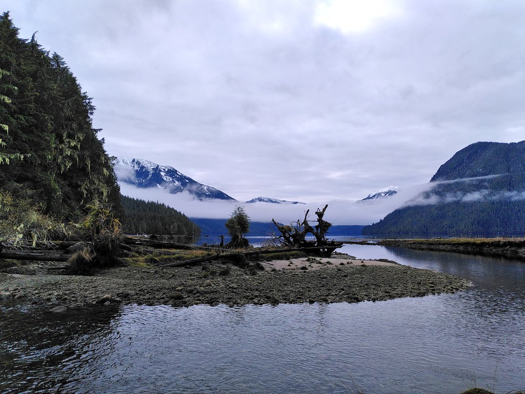 nora_mare's tweet photo. Yesterday was the last day of this seasons #SalmonRun Enumeration surveys by #MESSS. We went to beautiful #HadaRiver and saw some #Pink & #Coho #Salmon! ๐ Lovely river, beautiful falls & estuary, eagles, bear tracks, and nice company. Thanks for taking me along! ๐๐๏ธ๐ฆ
๐ป๐พ https://t.co/m8NsdSz5nS