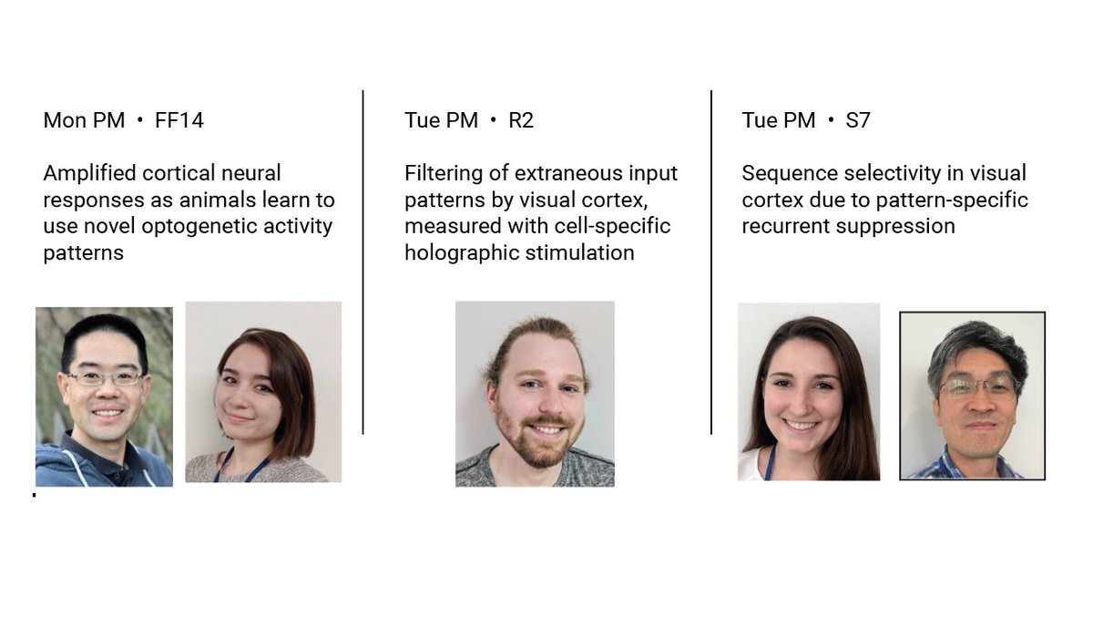 Mark Histed-🧠 Lab (@histedlab) on Twitter photo Check out work from the lab at #SfN22 this year: posters on Mon and Tue. Presented by <a href="/hmdougla/">Hannah Douglas</a> w/ <a href="/akitakeb/">Bradley Akitake</a>, 
<a href="/pklafosse/">Paul LaFosse</a>, and <a href="/CianaDeveau/">Ciana Deveau</a>  w/ Z. Zhou. Check out work from the lab at #SfN22 this year: posters on Mon and Tue. Presented by <a href="/hmdougla/">Hannah Douglas</a> w/ <a href="/akitakeb/">Bradley Akitake</a>, 
<a href="/pklafosse/">Paul LaFosse</a>, and <a href="/CianaDeveau/">Ciana Deveau</a>  w/ Z. Zhou.