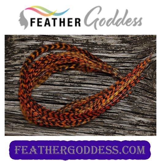 GRIZZLY SUNSET ORANGE HAIR FEATHERS
feathergoddess.com/.../FG6-Grizzl…...

#hairstyles #hairextensions #hairsolons  #featherhairextensions #hairstyle #fashionfeathers #feathergoddess #extensionspecialist #hairdresser #collegefootball  #collegiatesports #schoolcolors #holidaycolors #holidays