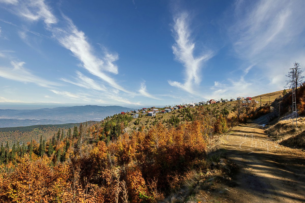 cekticekiyor's tweet photo. Kardüz Yaylası / Gölyaka / Düzce
#karadeniz #düzce #doğa #orman #yayla #sonbabar
📍1.830 Metre 🍂🍁 https://t.co/5FPZWQlKHu