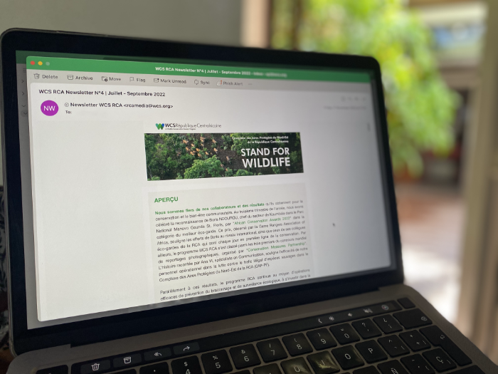 📣Our latest #newsletter is now available! Celebrate with us more than 10,310 #wildlife records🐘up to September! Learn more about the #BCChari project, review key facts about #hippos, and more! Read it here 👉🏾bit.ly/3UBoNdN
<a href="/UEenRCA/">UE en Centrafrique</a> <a href="/UNESCO/">UNESCO 🏛️ #Education #Sciences #Culture 🇺🇳</a> <a href="/LionRecovery/">Lion Recovery Fund</a> <a href="/ArcadiaFund/">Arcadia Fund</a>