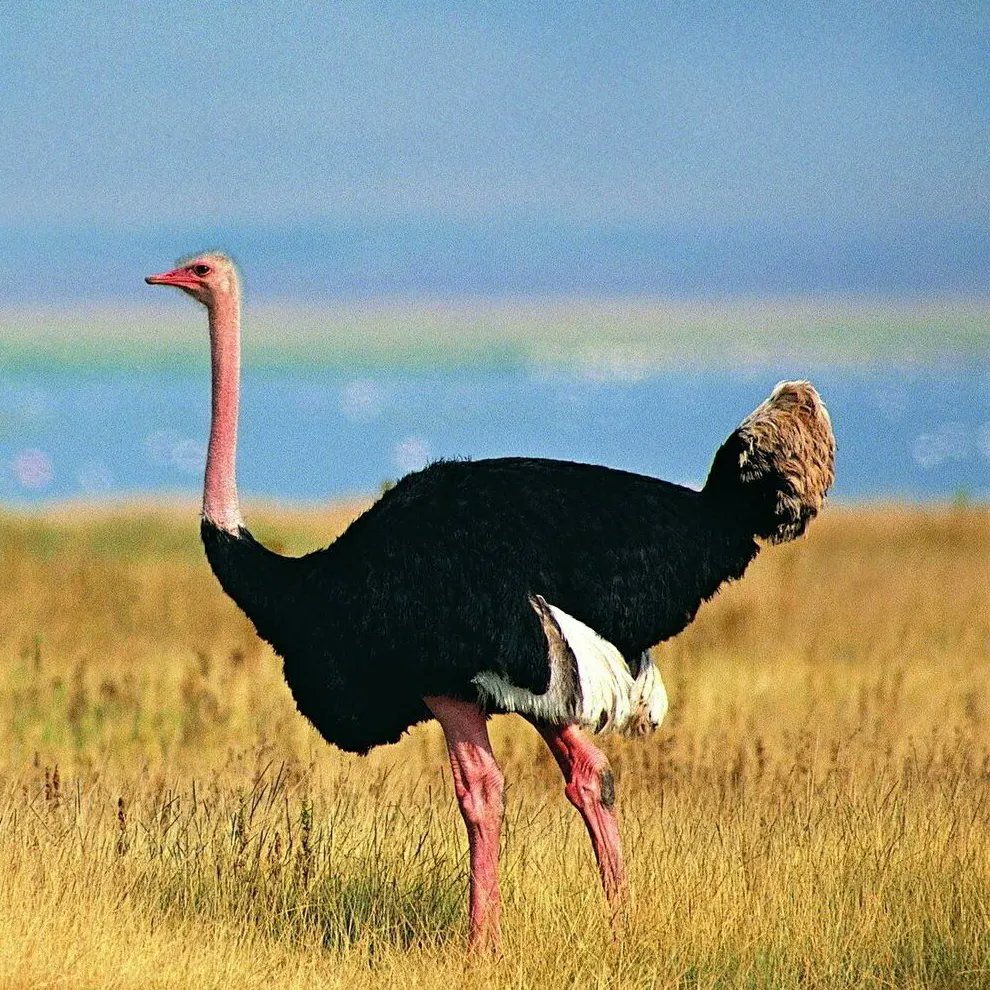 لا تفوتكم التخفيضات 🤩  .. 
إستراحة #جرين_جاردن_إبراء 
أحجز الآن وأضمن قضاء أوقات سعيدة مع العائلة خل...