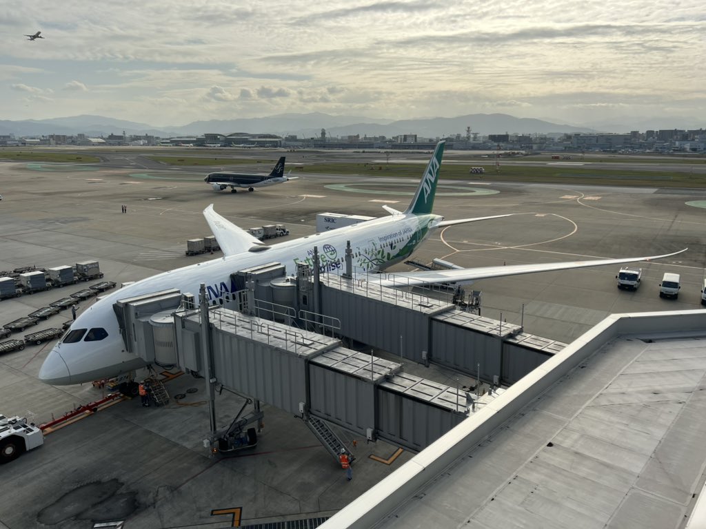 N787US's tweet photo. #ANAGreenJet
国内線初便無事福岡到着しました。
機内の照明はグリーンジェット仕様になっておりました。
#ANA #NH253 #HND #FUK #羽田 #福岡 #B787 https://t.co/KvPoFyTGr5