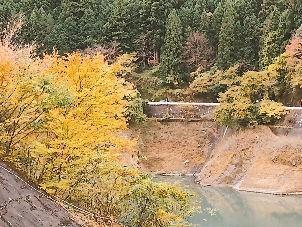 donkun999's tweet photo. 有間ダム(名栗湖)の紅葉もだいぶ色付き始めてて、のんびり楽しめました🍂🍁
 #ヤマノススメNextSummit https://t.co/e9MnMczwNL