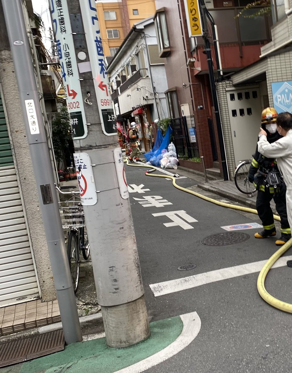 活動歴および当時の関連ビジュアル記録