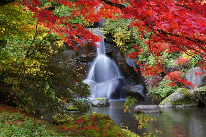 GKTT9iumTjdTnjp's tweet photo. ＜日本の秋の風景－１＞
綺麗ですね！ https://t.co/3I18dYFiJG