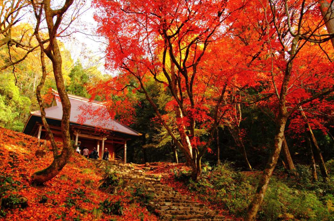 GKTT9iumTjdTnjp's tweet photo. ＜日本の秋の風景－１＞
綺麗ですね！ https://t.co/3I18dYFiJG